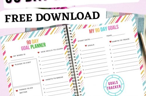 Binder containing 90 Day Goal Tracker and Planner