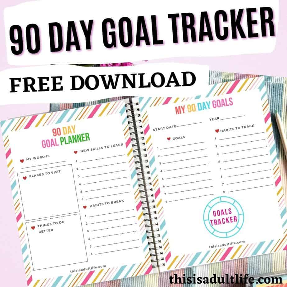 Binder containing 90 Day Goal Tracker and Planner