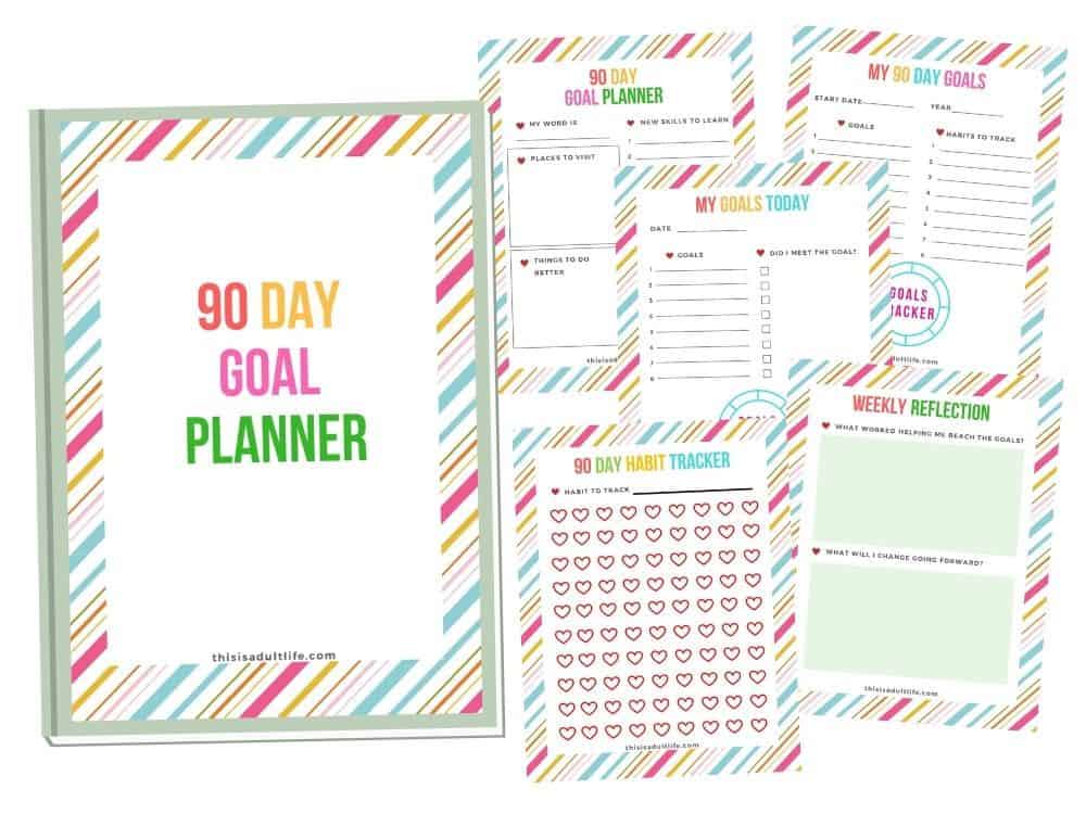 Flat lay of 90 Day Goal Planner